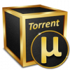 torrent3.png